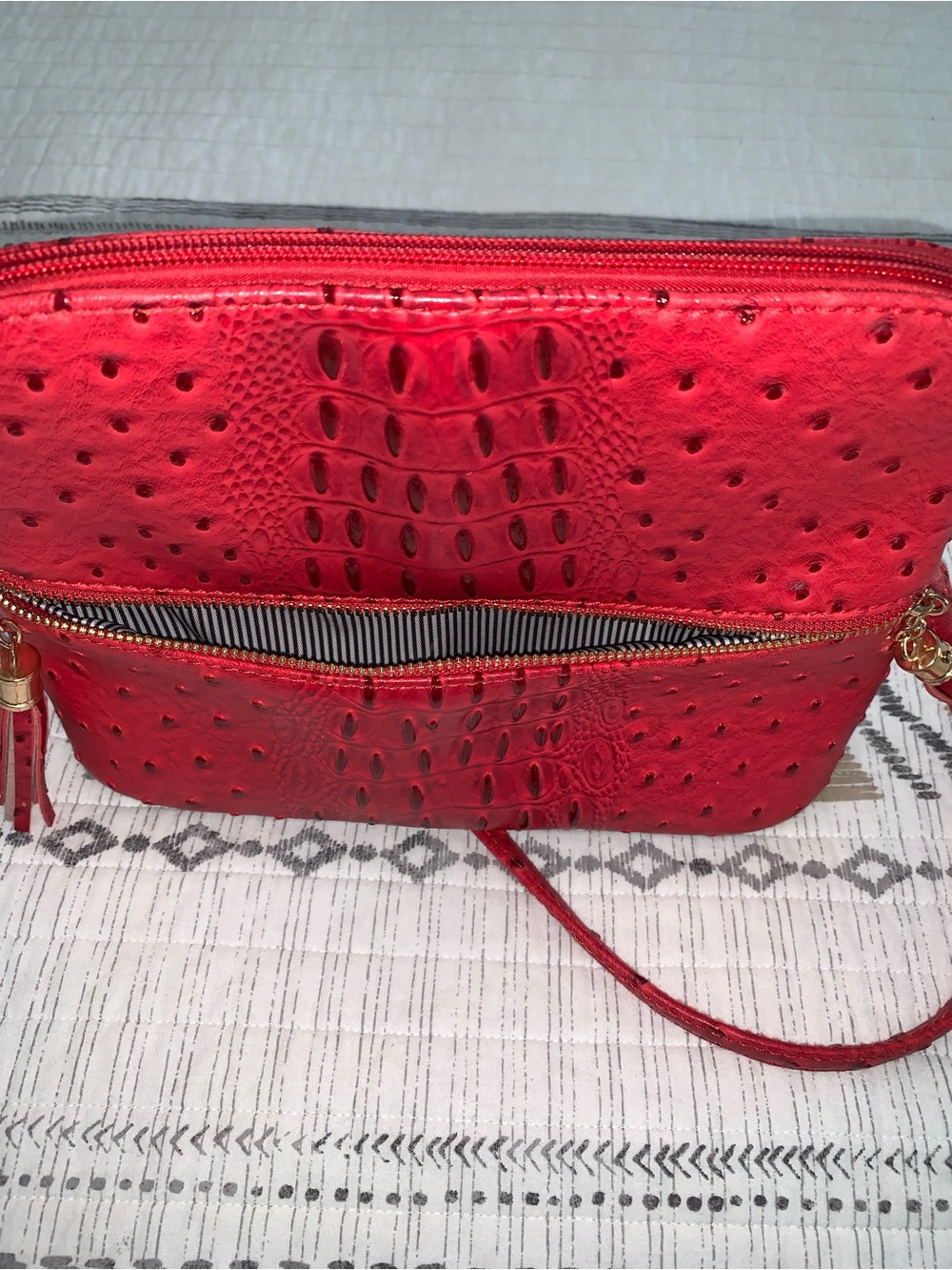 Chic Red Embossed Tassel Crossbody Bag - Picture 9 of 11
